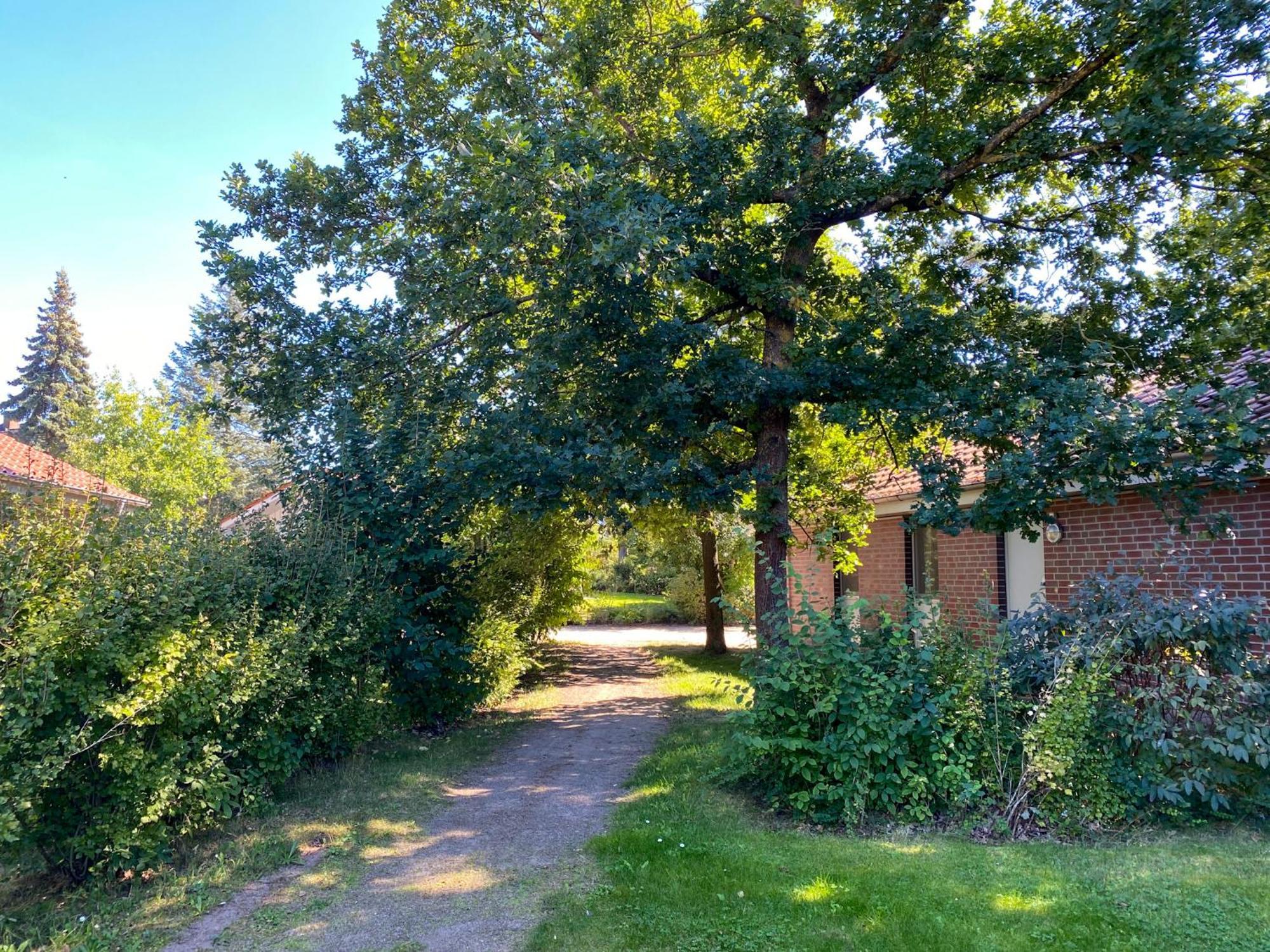 Ferienhaus Wiesengefluester W10 - Mit Sauna, Kamin Und Garten Röbel Exteriör bild